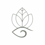 Logo sans fond vert - De l'Œil de Bey