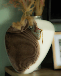 Photo artistique de grossesse prise à domicile dans le Tarn